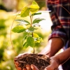 Mastercard expands the Priceless Planet Coalition’s forest restoration effort