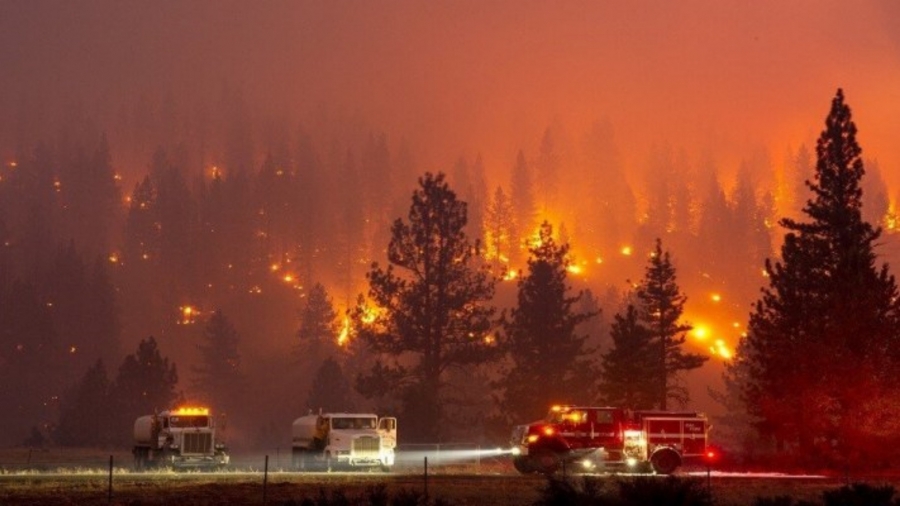 حريق مفاجئ يدمّر عشرين منزلا على ساحل كاليفورنيا