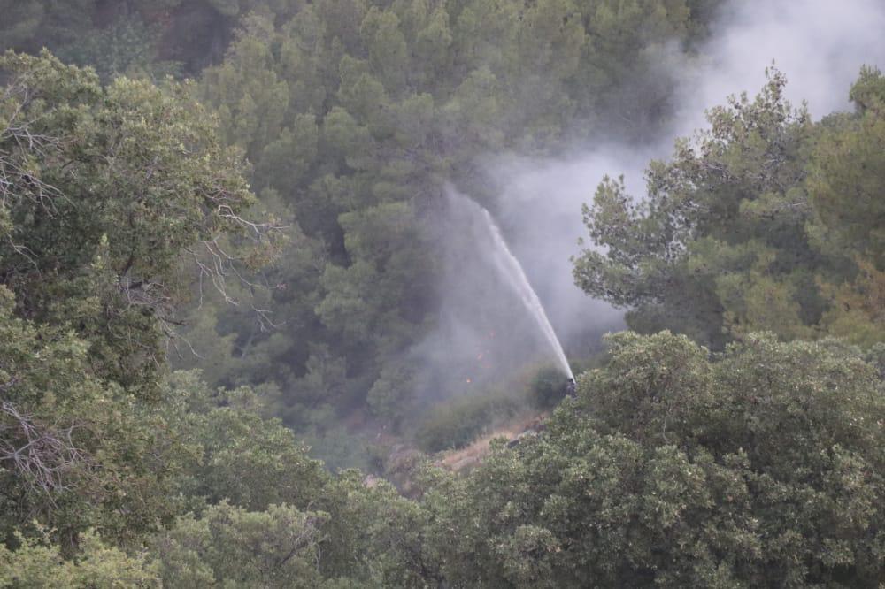 الدفاع المدني يسيطر على حريق اتى على ١٢٠٠ دونم من الاعشاب وألاشجار في أم قيس.