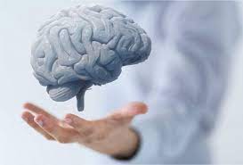 دراسة جديدة تحذر من عامل هام يمكن أن يمنع نمو الدماغ