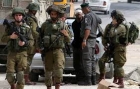 الاحتلال يعتقل شبان فلسطينيين بالضفة والقدس المحتلة