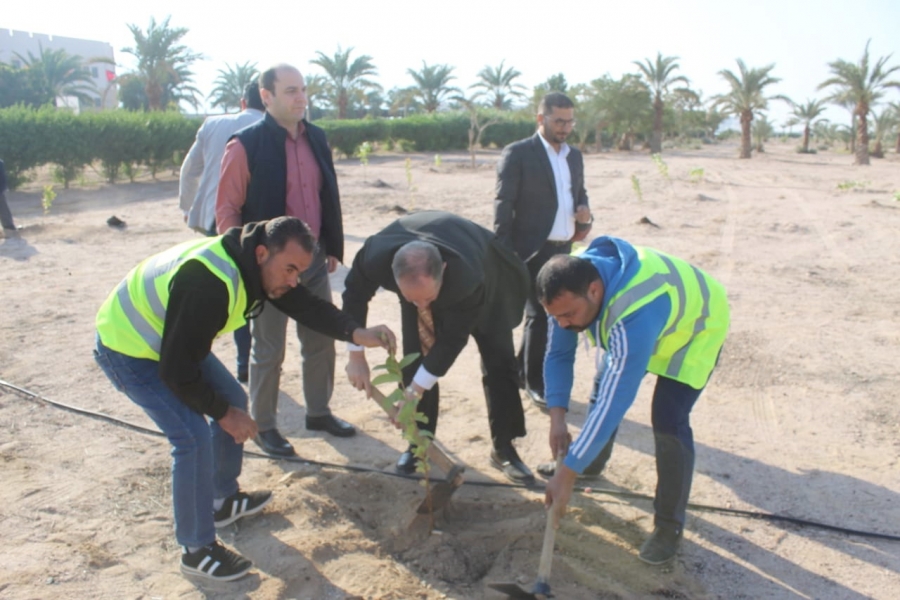 مبادرة منتجع موفنبيك  لزراعة المسطحات الخارجية في أردنية العقبة