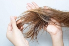 المكونات بين يديك لاستعادة صحة الشعر التالف