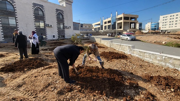 امانة عمان تنفذ زراعة للاشجار في منطقة راس العين