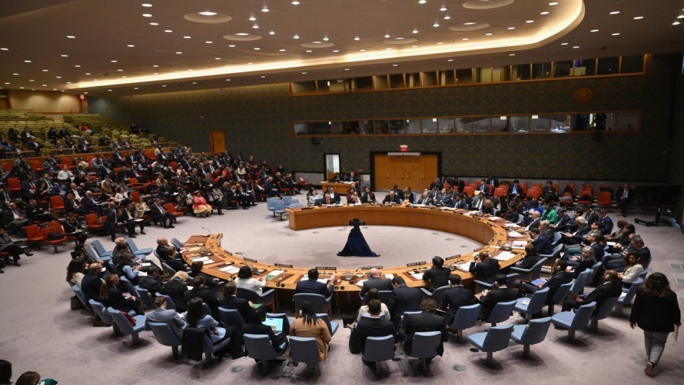 مهند هادي يقدم لمجلس الأمن الدولي إحاطة حول الوضع الانساني في غزة
