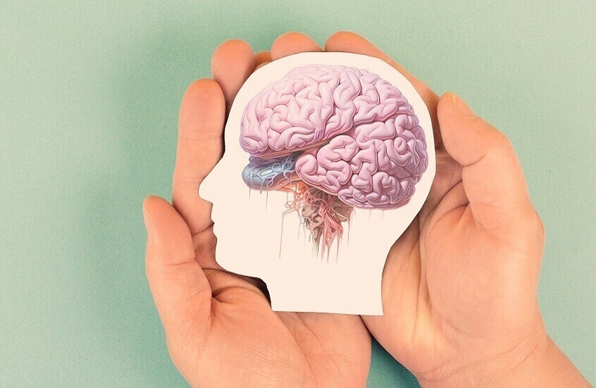 طريقة جديدة لتجديد خلايا الدماغ