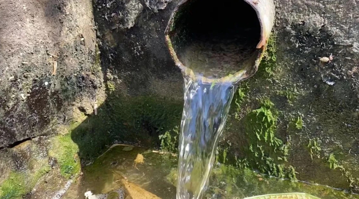 {clean_title}
