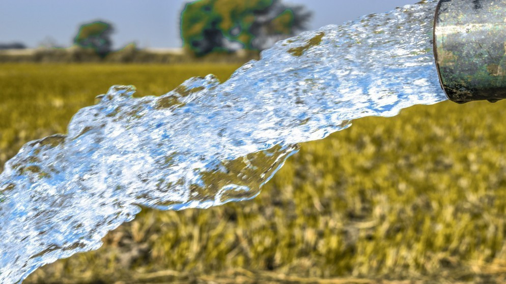 {clean_title}