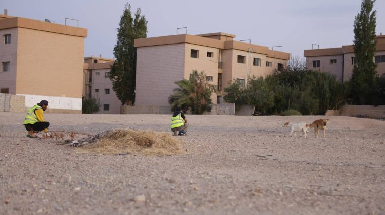 {clean_title}