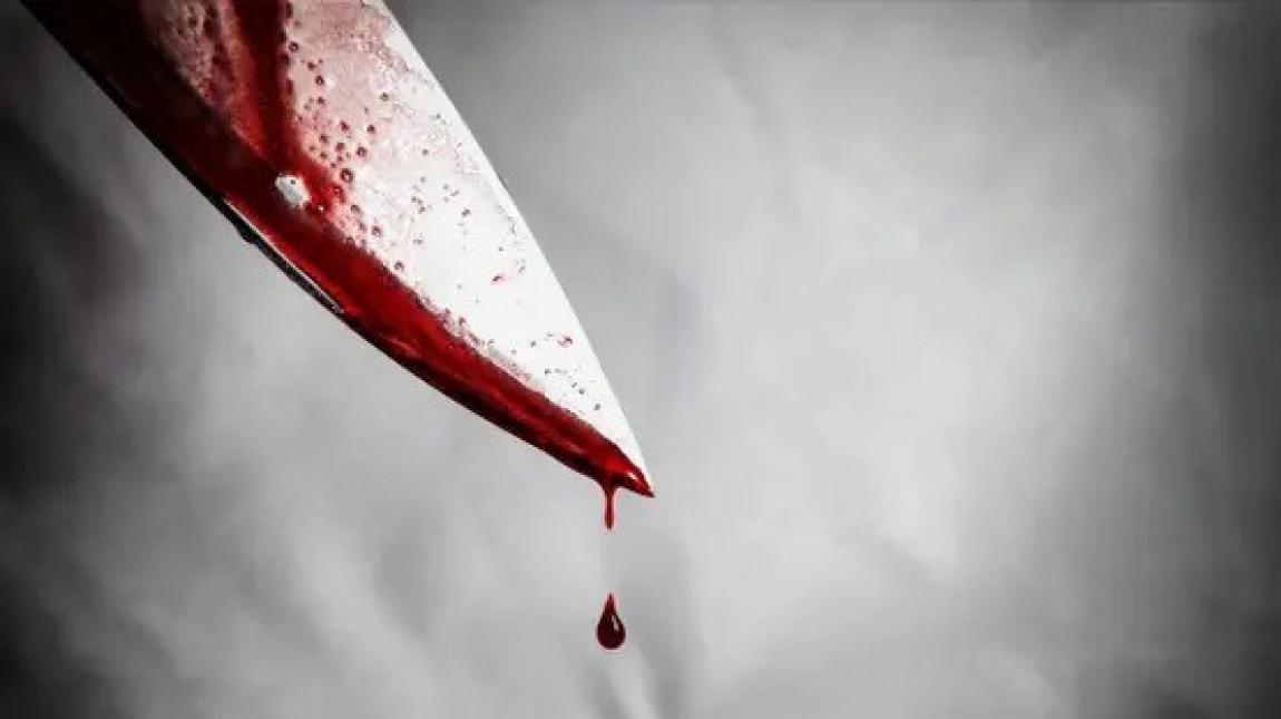 {clean_title}
